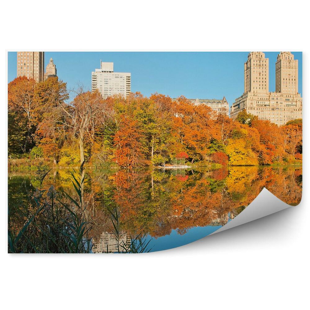 Papier peint Central Park Automne Maisons Gratte-ciel Rivière New York Ombres