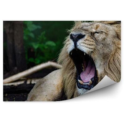 Papier peint Lion Rugissant