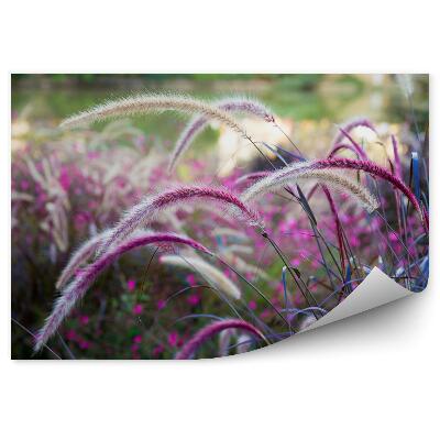 Papier peint panoramique Prairie d'herbes sauvages