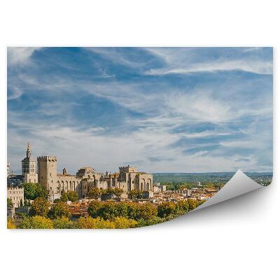 Papier peint Panorama Vieille Ville Palais Papal Vue Arbres Plantes Ciel Nuages