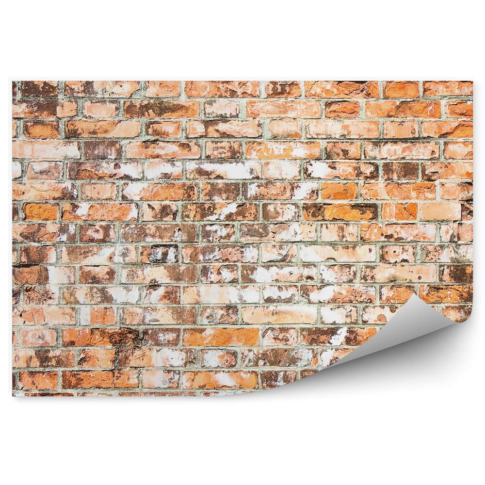 Papier peint Vieux mur en Toscane