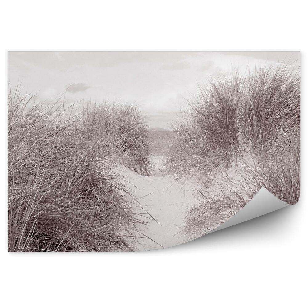 Papier peint Herbe sauvage Plage de sable Noir et blanc