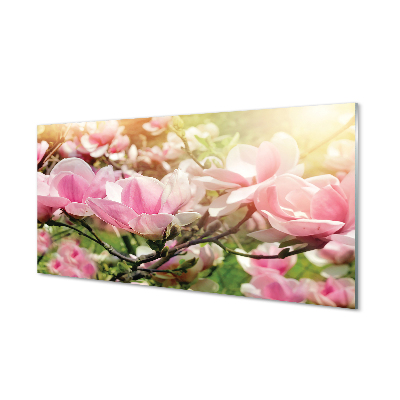 Tableau en verre Fleurs