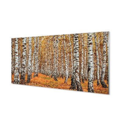 Tableau imprimé sur verre Arbres d'automne