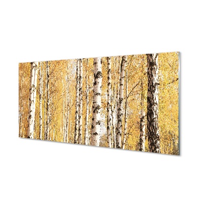 Tableau verre imprimé Arbres d'automne