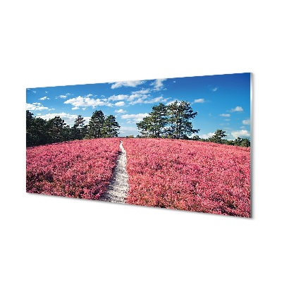 Tableau imprimé sur verre Terrain bruyères forêt