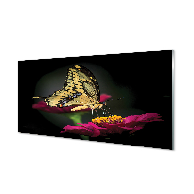 Tableau imprimé sur verre Papillon sur une fleur
