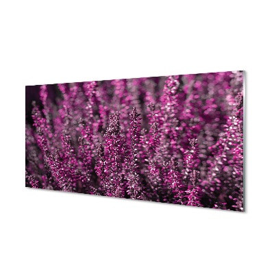 Tableau verre imprimé Bruyères sur le terrain