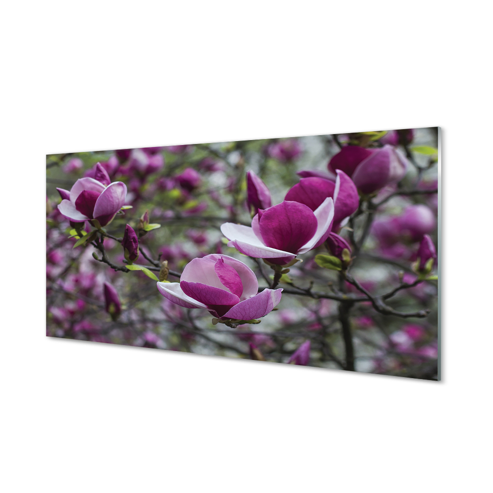 Tableau verre imprimé Magnolias violet