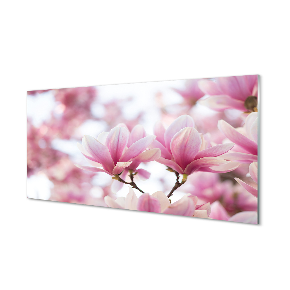 Tableau en verre Arbre magnolias