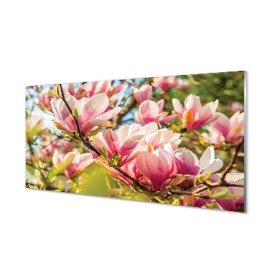 Tableau sur verre Magnolias rose