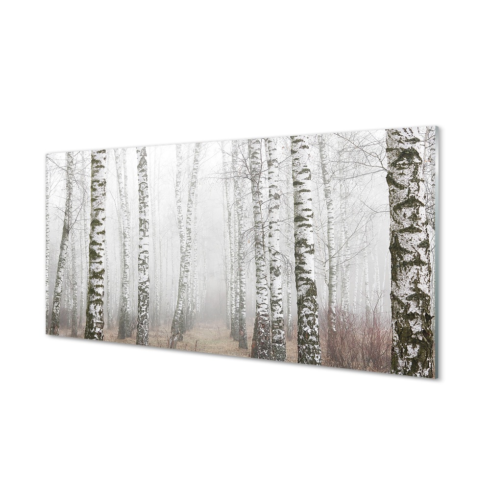Tableau verre imprimé Bouleau brouillard