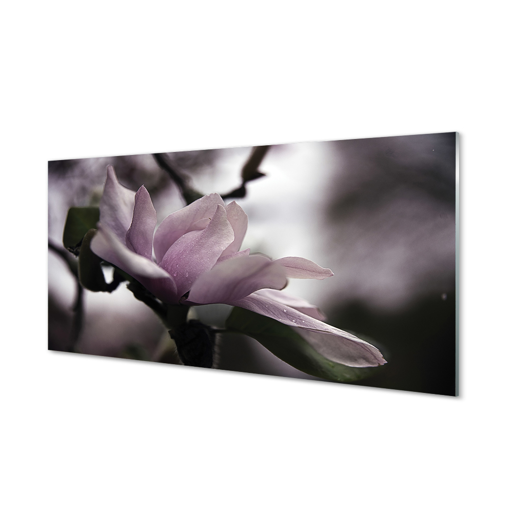 Tableau imprimé sur verre Magnolia