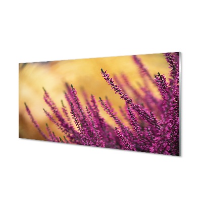 Tableau photo sur verre Fleurs