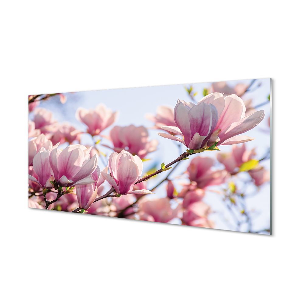 Tableau photo sur verre Magnolia