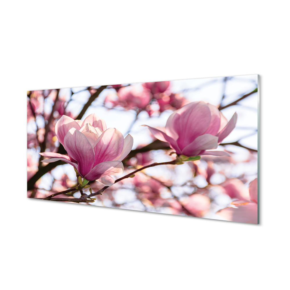 Tableau en verre Arbre magnolias