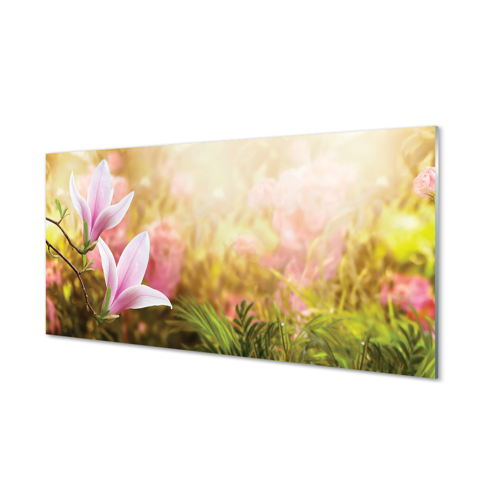 Tableau sur verre Arbre soleil magnolia