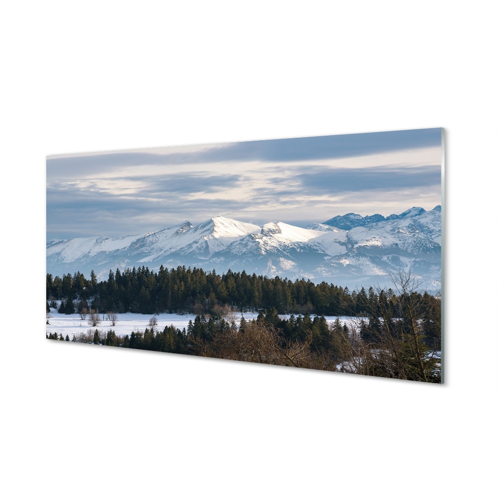 Tableau sur verre Montagne hiver