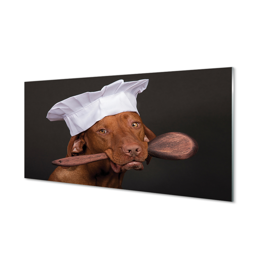Tableau photo sur verre Chef de chien