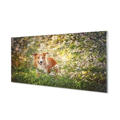 Tableau en verre Fleurs forestières chien