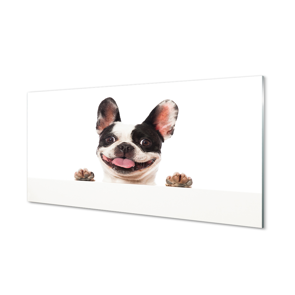 Tableau verre imprimé Chien