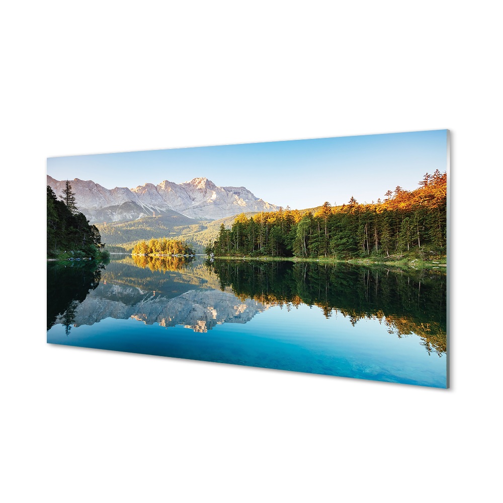 Tableau imprimé sur verre Lac forestier allemagne montagne