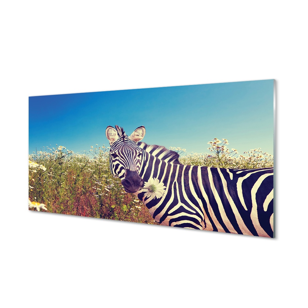 Tableau imprimé sur verre Fleurs zebra