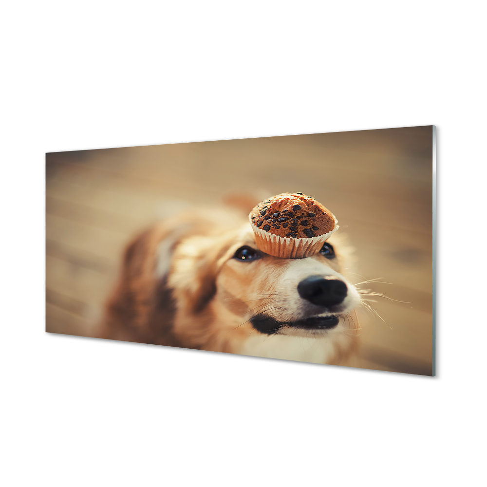 Tableau photo sur verre Petit pain chien