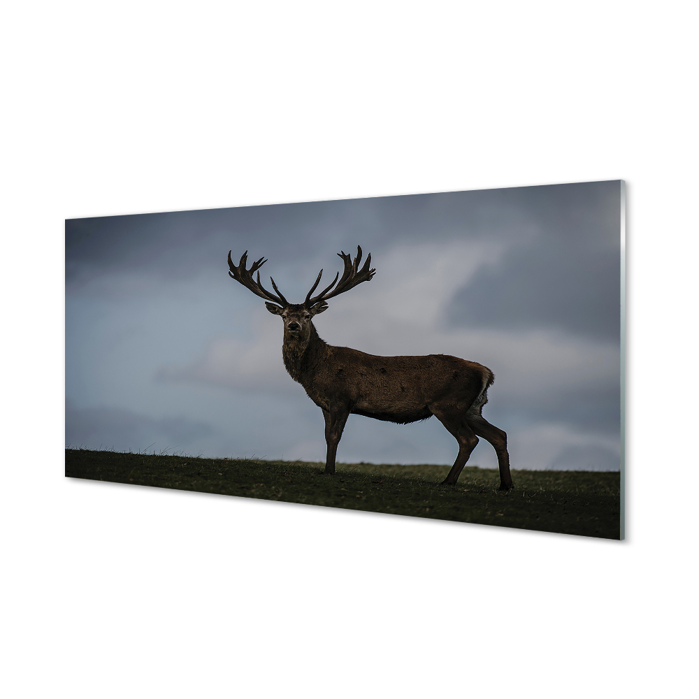 Tableau imprimé sur verre Soirée entre hommes