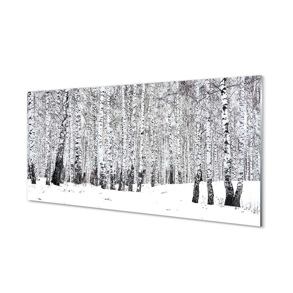 Tableau photo sur verre Bouleaux d'hiver