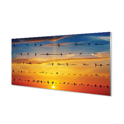Tableau photo sur verre Oiseaux sur le coucher du soleil cordes