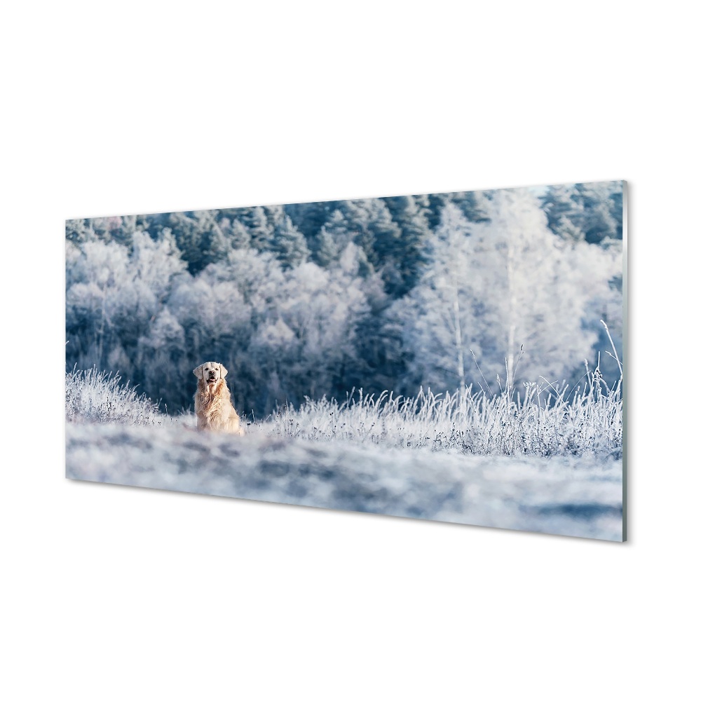 Tableau verre imprimé Chien de montagne d'hiver