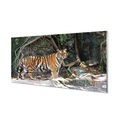 Tableau imprimé sur verre Jungle tigre
