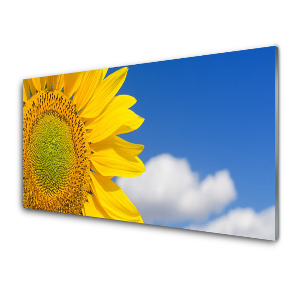 Tableau sur verre Tournesol Ciel Nuages