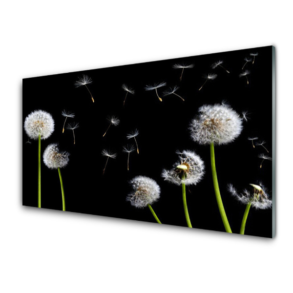 Tableau photo sur verre Gonflables