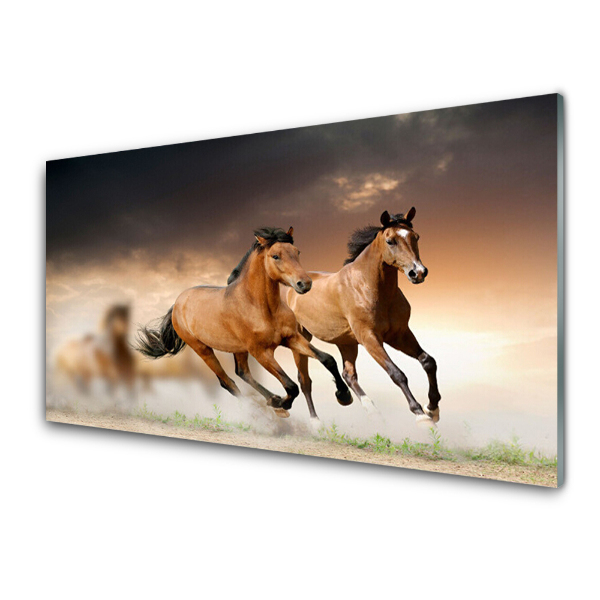 Tableau sur verre Chevaux au galop