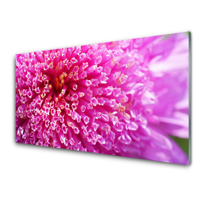 Tableau photo sur verre Fleur rose