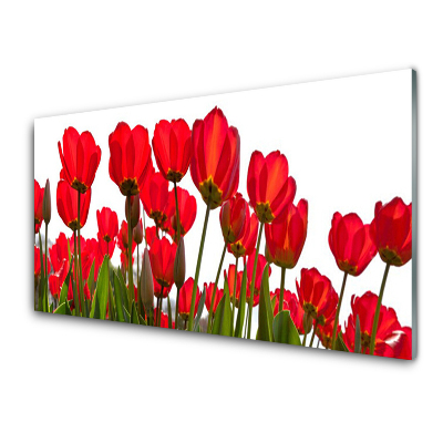 Tableau sur verre Fleurs de coquelicot