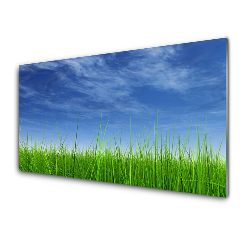 Tableau photo sur verre Plante d'herbe du ciel