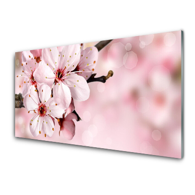 Tableau photo sur verre Fleur de cerisier
