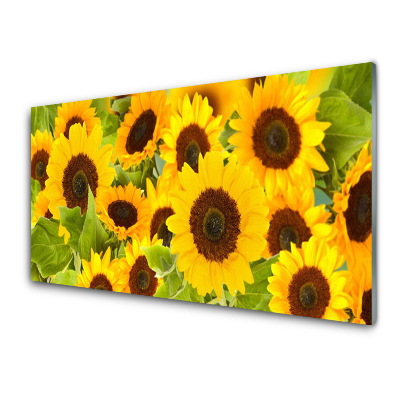 Tableau en verre Plante Tournesol