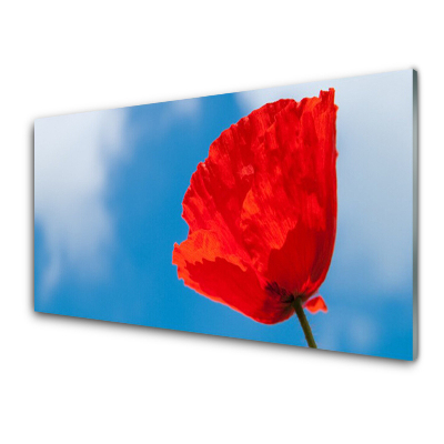 Tableau photo sur verre Fleur Ciel