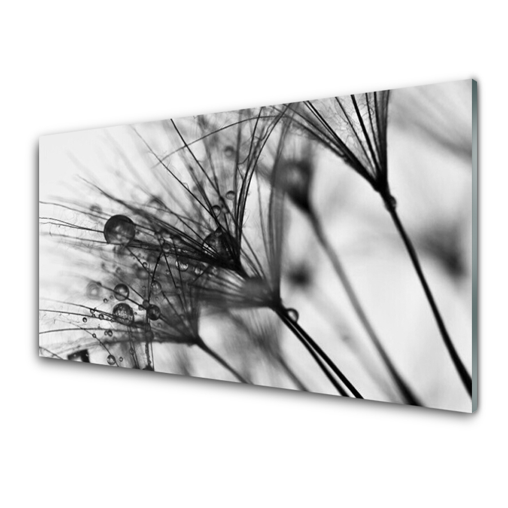 Tableau en verre Plante Rosa Nature