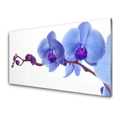 Tableau photo sur verre Fleurs bleues