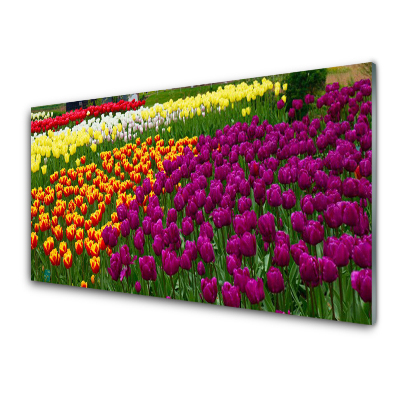 Tableau photo sur verre Tulipes Fleurs