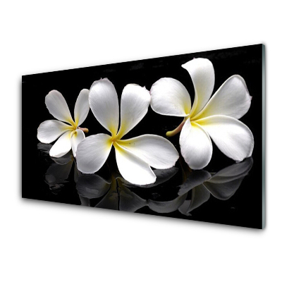 Tableau sur verre Fleurs Plante