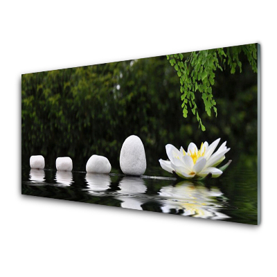 Tableau en verre Lotus Plantes d'eau
