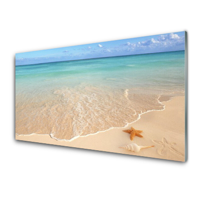 Tableau verre imprimé Plage Etoile de mer Vue