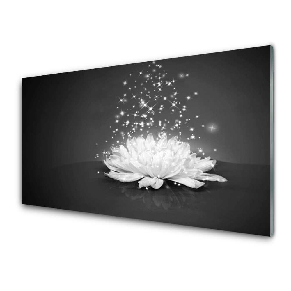 Tableau photo sur verre Gouttes de rosée de fleurs blanches