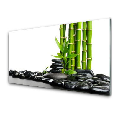 Tableau sur verre Pierres de bambou Fond blanc